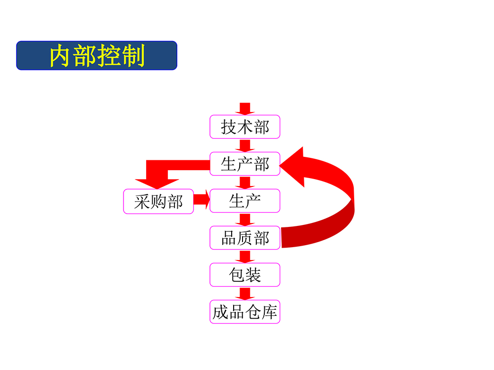 內(nèi)部控制(圖1)